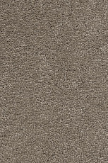 Ковролин AW Invictus Heroicus 37 фото 1 | FLOORDEALER